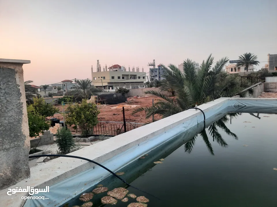 بيع ارض مع مزارع وع فبلا ججر