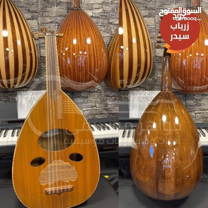 عود زرياب وجي سيدر اصلي احترافي كفاله معرض كامل مع حقيبه  جلد وريشه اصليه