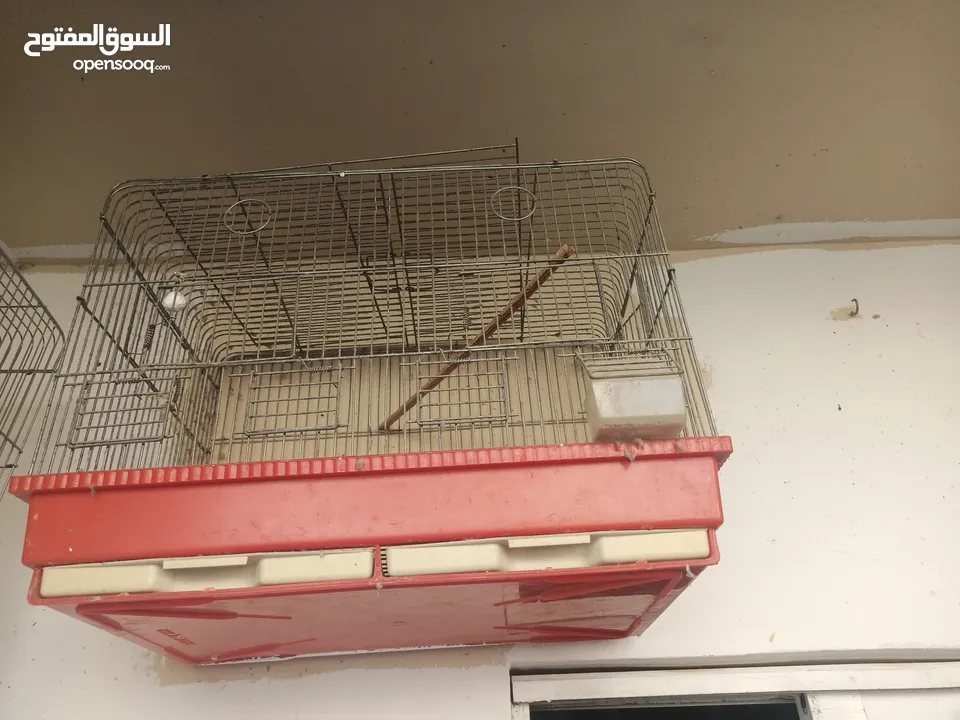 مخاليف كوكتيل عمر شهرين صحه ونظافة شغل تدريب