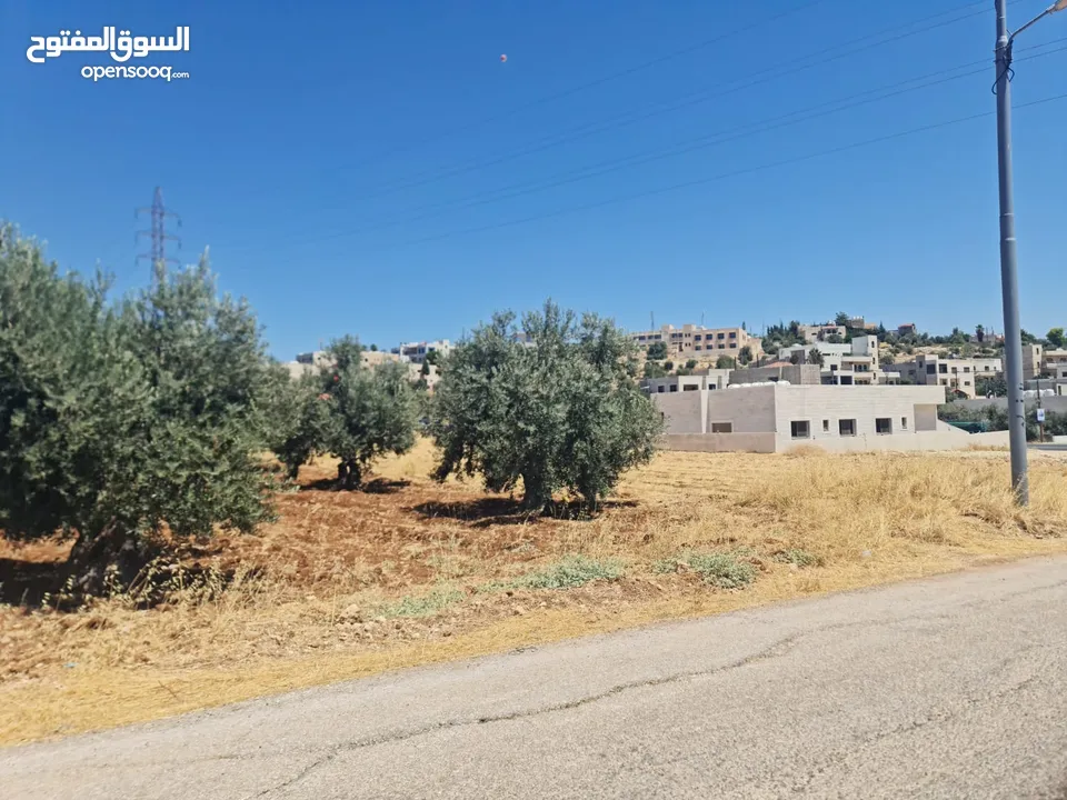 ارض للبيع 500 م في اجمل مناطق المملكه بدر الجديده (الغروس الغربي) على شارعين