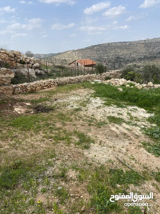 بيت ريفي مع مزرعة