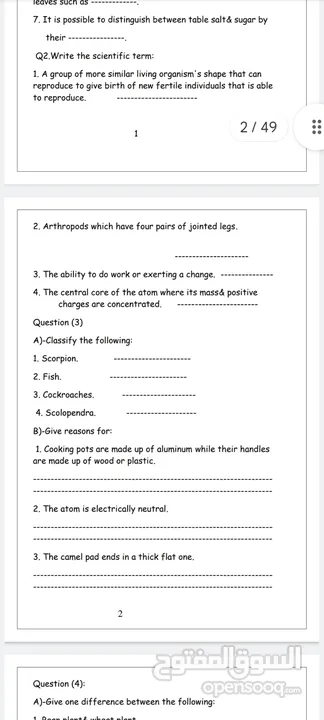 كتابة Microsoft Office و ترجمه