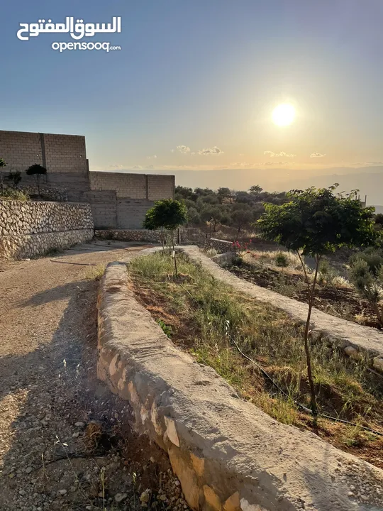 مزرعة في مغاريب السلط من المالك مباشرة