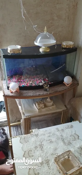 حوض سمك كورنر 85×85  موجود زينة حجار وفلتر ماء وشجر صناعي صحي مع طاولة قاعدة معدن لون ذهبي