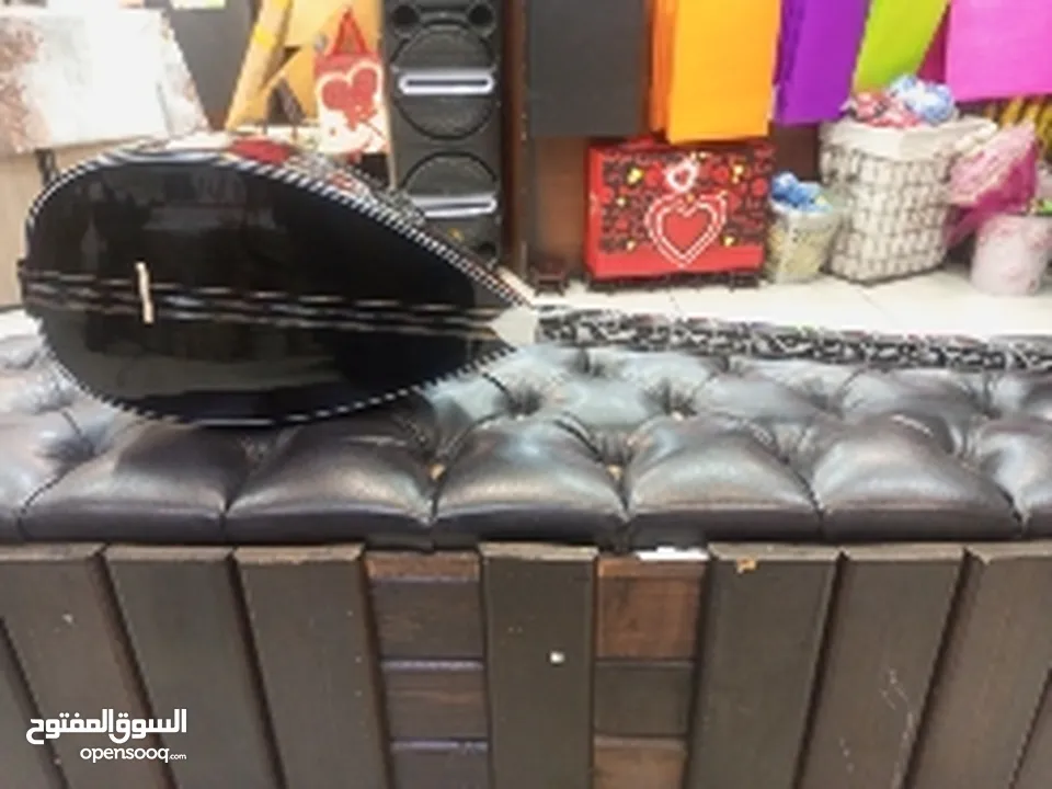 بزق عادي وكهربائي اكولايزر