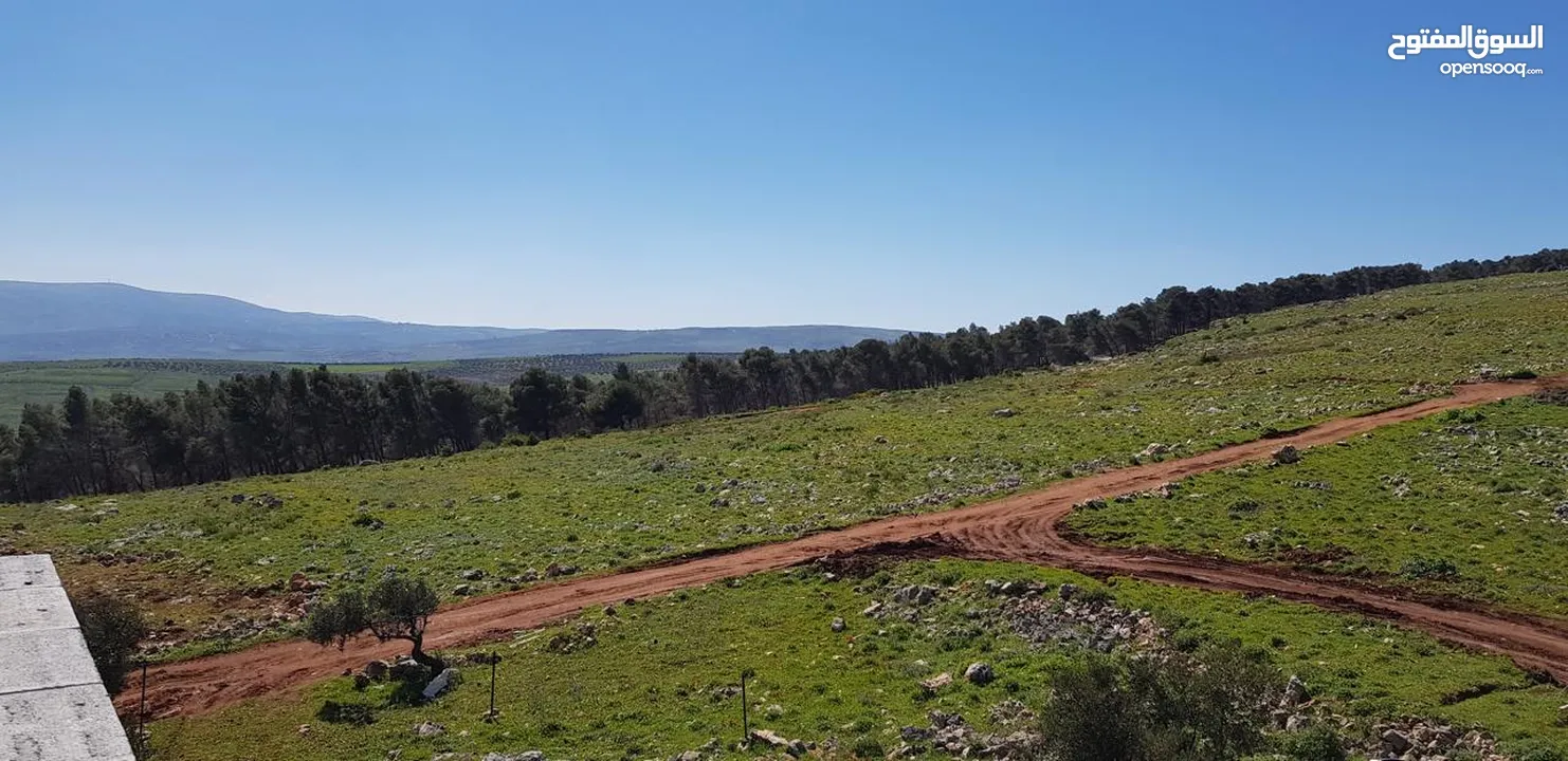 فيلا فاخرة على أرض 2000م تصنيف أ A, طابو – زاوية شارعين + مجلس ضيوف مستقل في طوباس