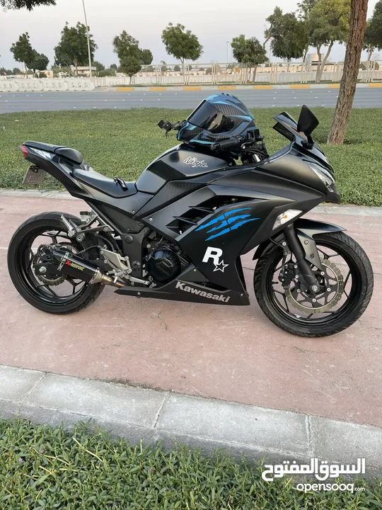 Kawasaki Ninja 300