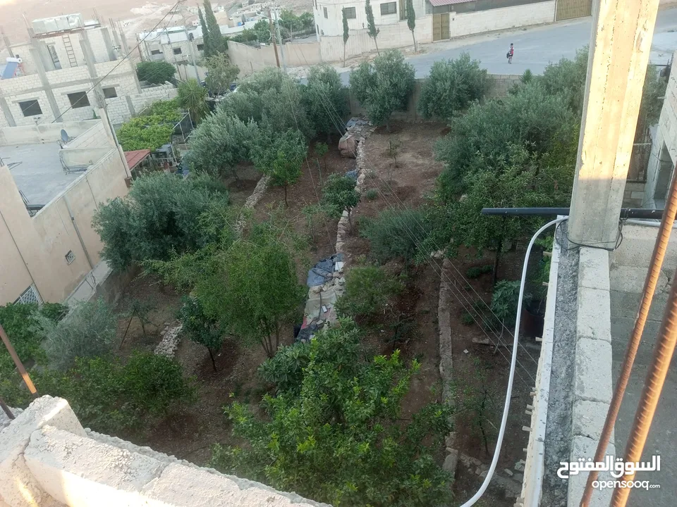 عمارة للبيع