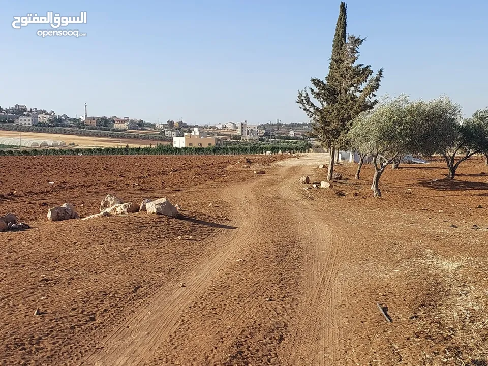مادبا ماعين ارض زراعية مميزة عليها مزرعة زيتون جاهزة واصل جميع الخدمات مساحتها 4500 م