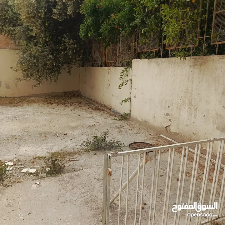 شقة فارغة للايجار في شميساني 2 نوم 330