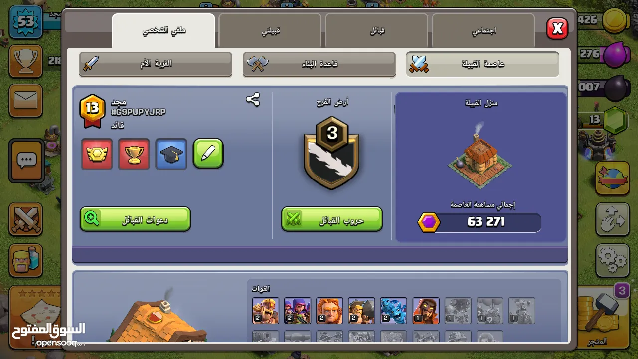 كلاش اوف كلانس قرية للبيع تاون 10