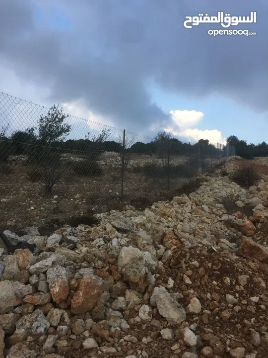 فرصة استثمارية! أرض زراعية مميزة بسعر مغري و بالقرب من أحراش الدولة للمزيد من المعلومات اقرأ الوصف