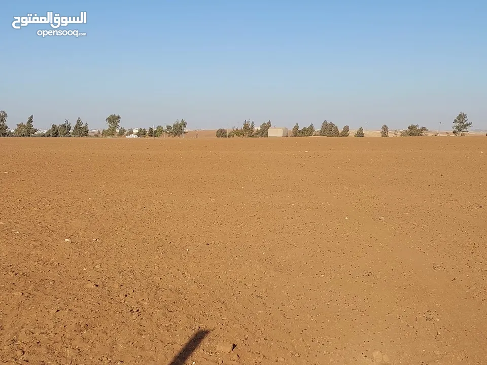 مادبا ماعين مشرفه المرعاوي  قطعة ارض زراعية مميزة  ذات اطلالة على البحر الميت واصل الخدمات 4150 متر