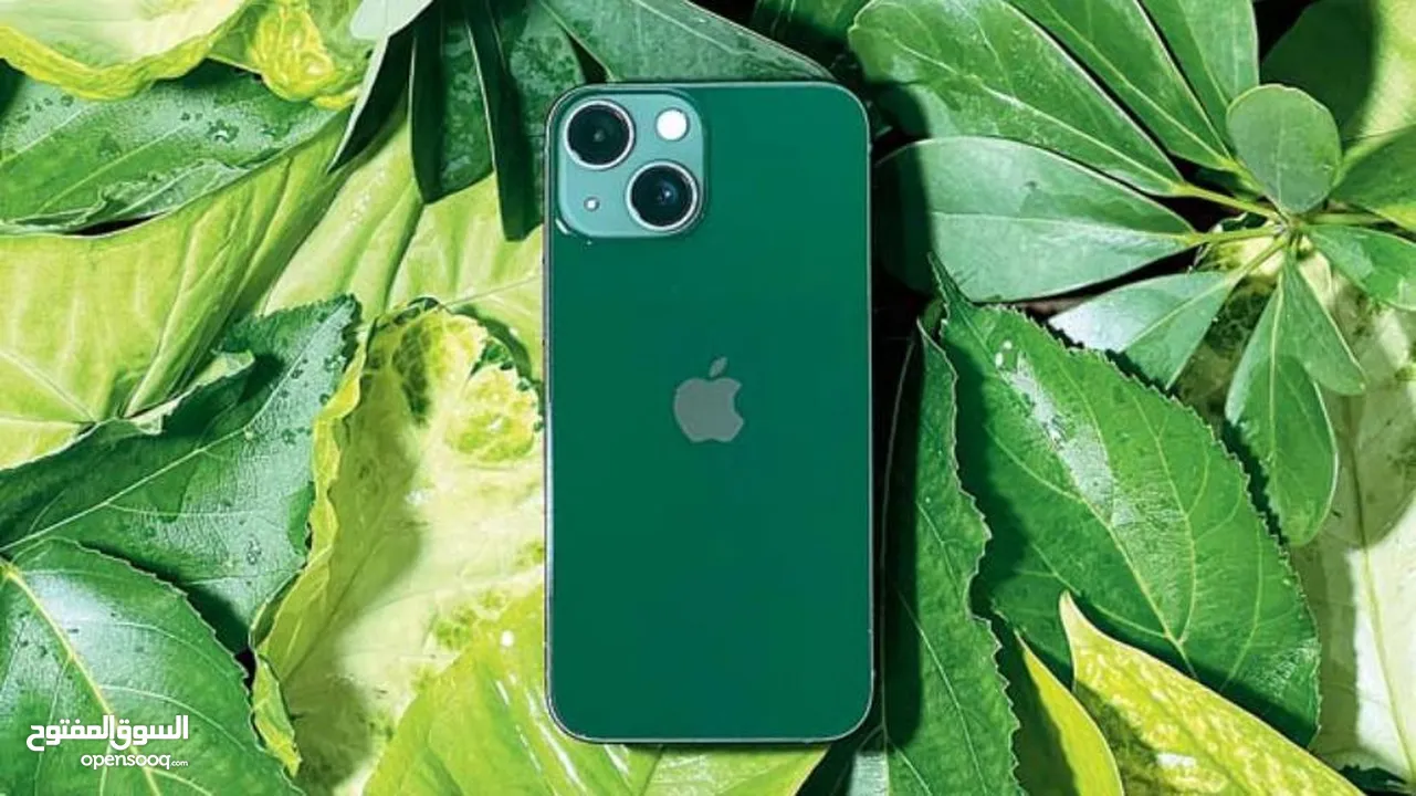 iPhone 13 Green 128GB For Sale   ايفون 13 اخضر 128جيجا للبيع