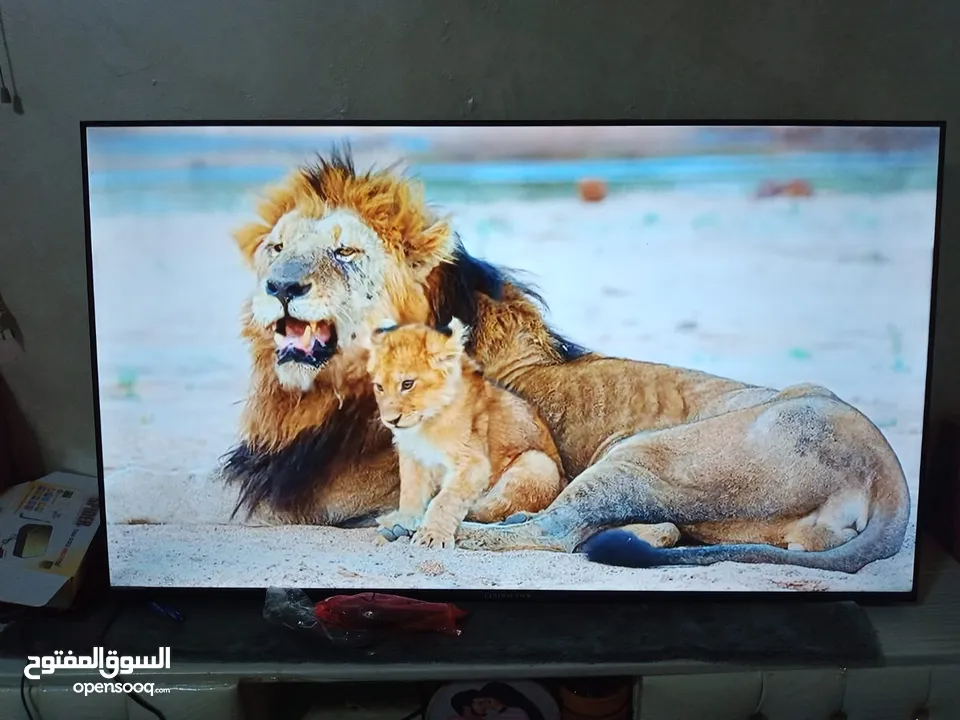 شاشة جينرال فيو فل سمارت بحال الجديد