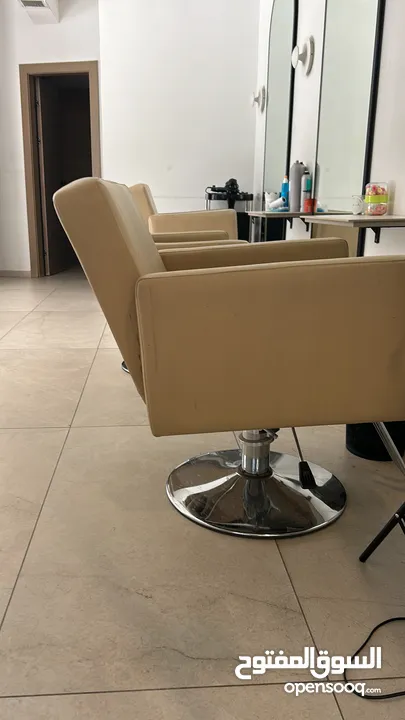 Salon chairs