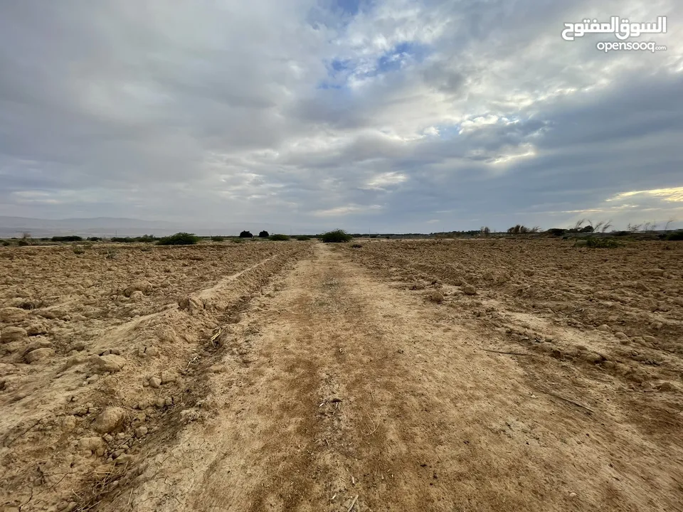 وحدة زراعية في غور الرامة وبالقرب من المغطس للبيع من المالك