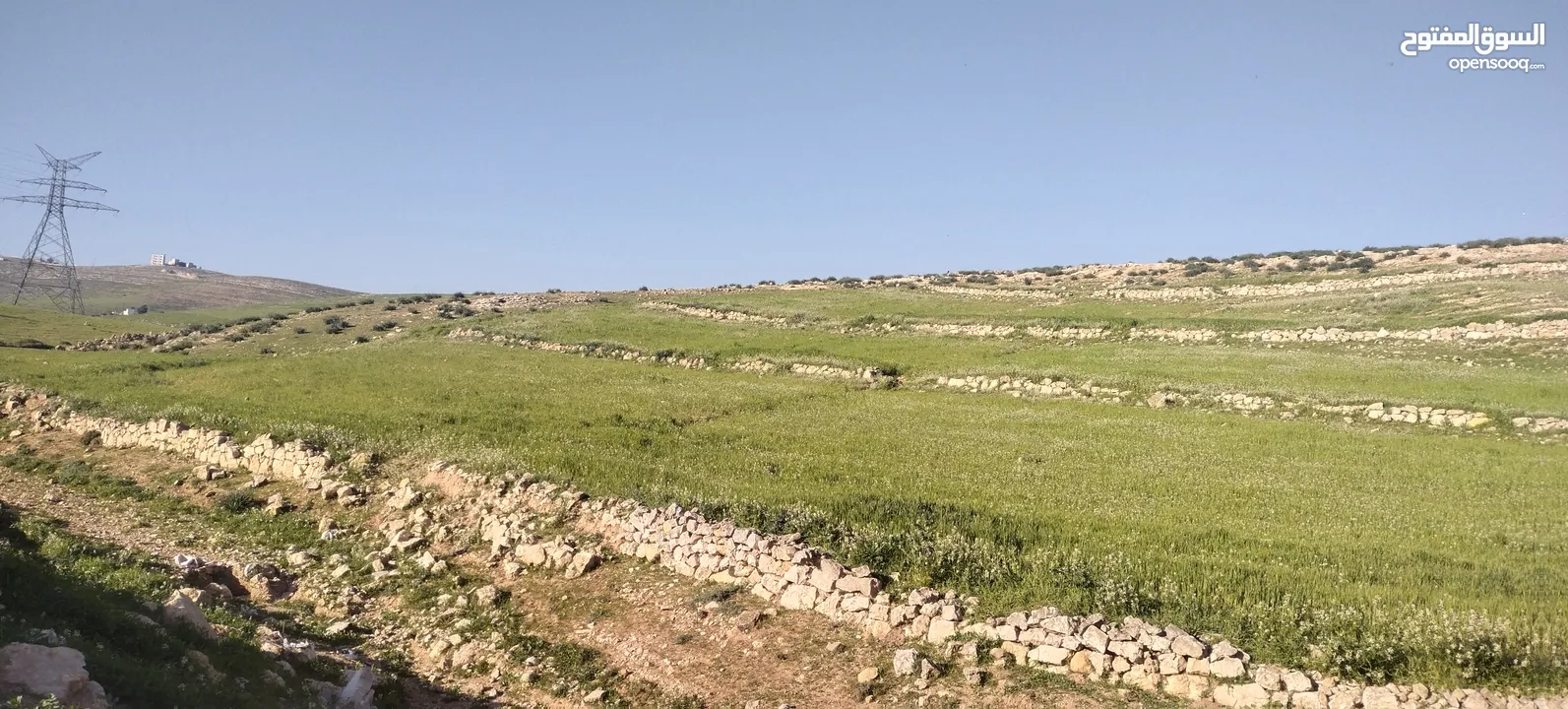 زينات الربوع قرب الترخيص
