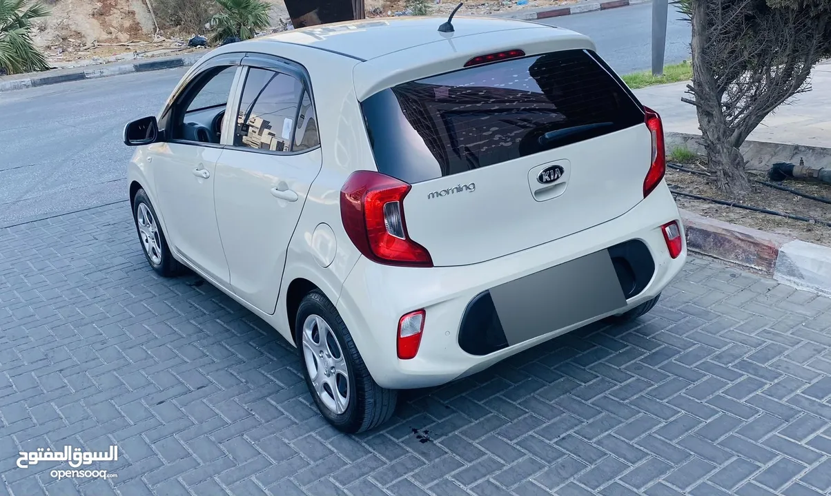 كيا مورنينج 2019 فحص نخب دهان الشركه بالكامل بسعر حرررق