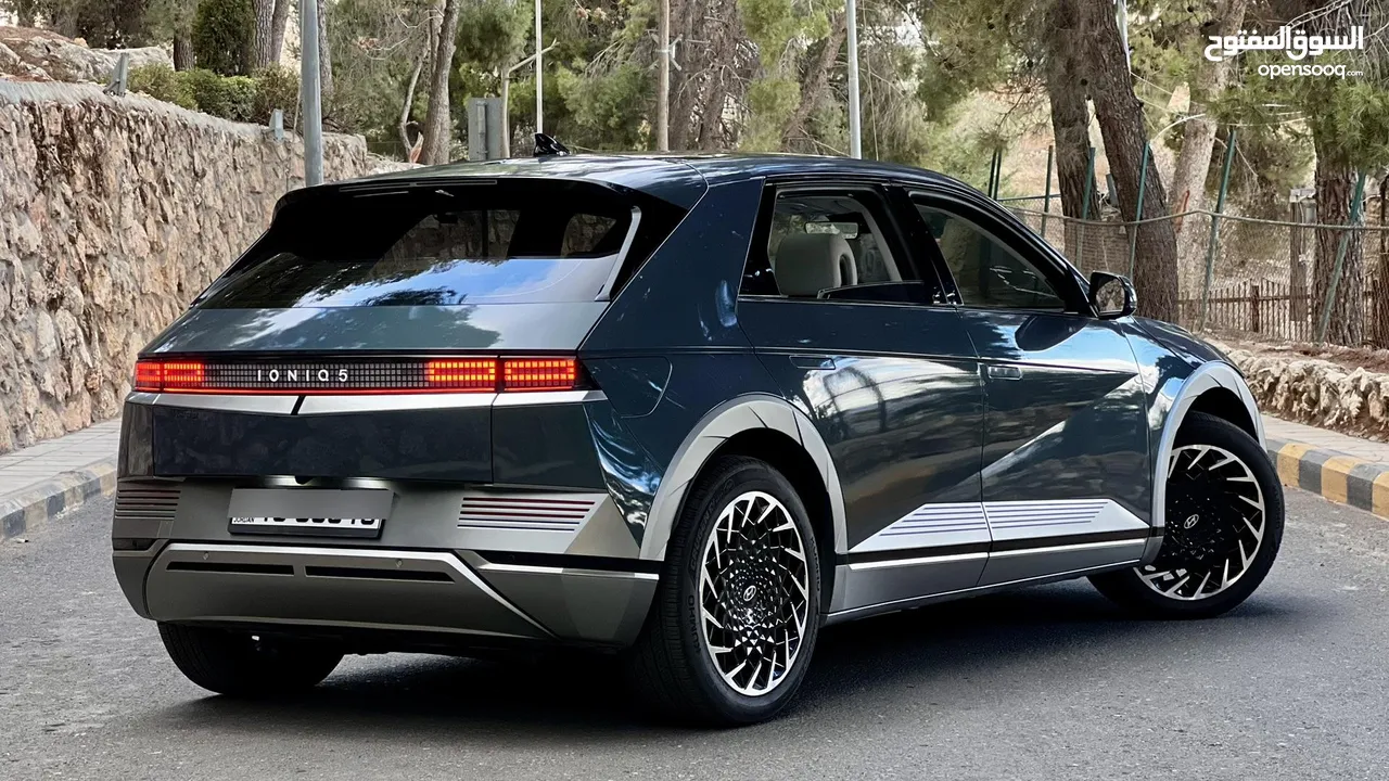 IONIQ 5 Earth Limited Edition 2022