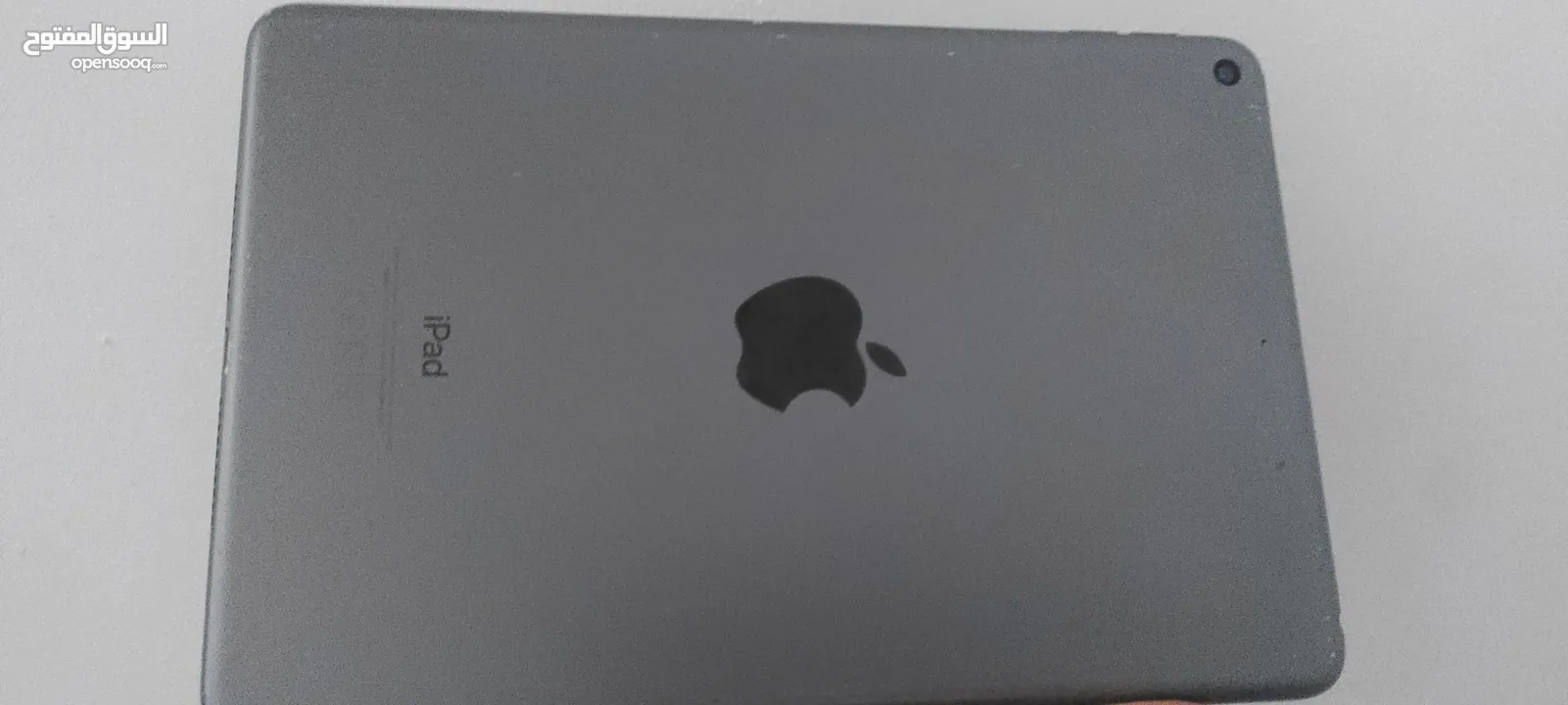ipad mini 5