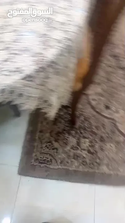 طقم غرفة ضيوف بحالة الوكاله