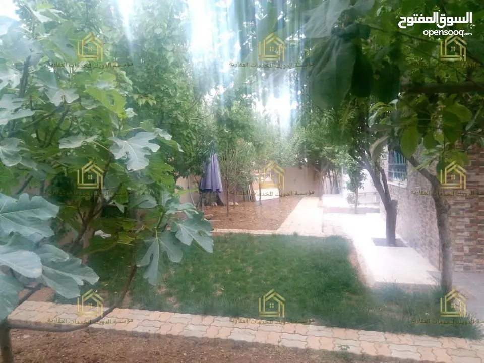 شقة مميزة - الكرسي - 3نوم 1ماستر - حديقة - دفع شهرررري