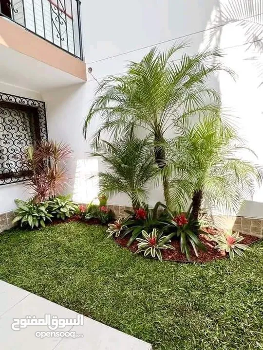 مزارع  حدائق وبستنة والإشراف على النبات