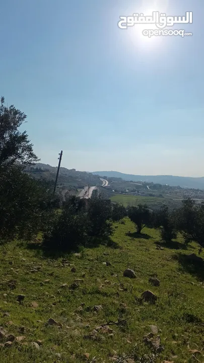 ارض سكنيه للبيع موقع خلاب ومميز جداً منطقة ابو نصير المربط حوض ام رجم مرج الصانع حوض 2حي الضياء