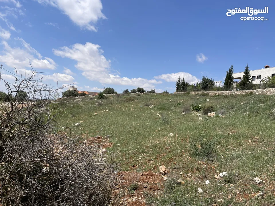 أرض للبيع (الخرزة) أعلى امتداد شارع ال 60 من المالك مباشرة