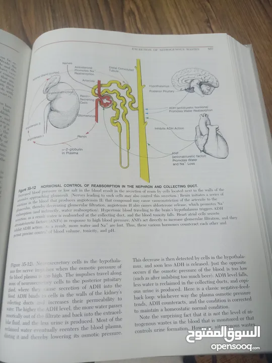كتاب بعنوان biology