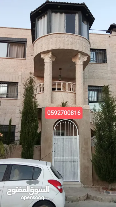 استوديو مفروش