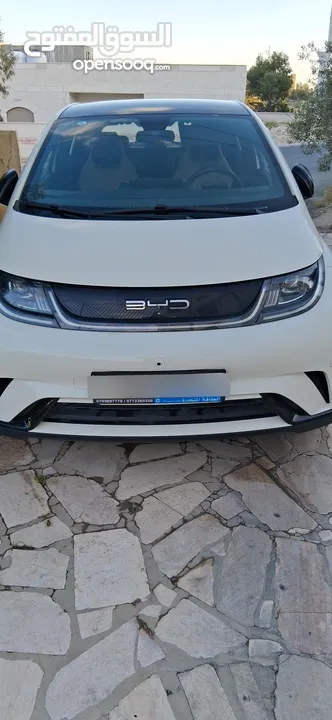 BYD 2023 دولفين