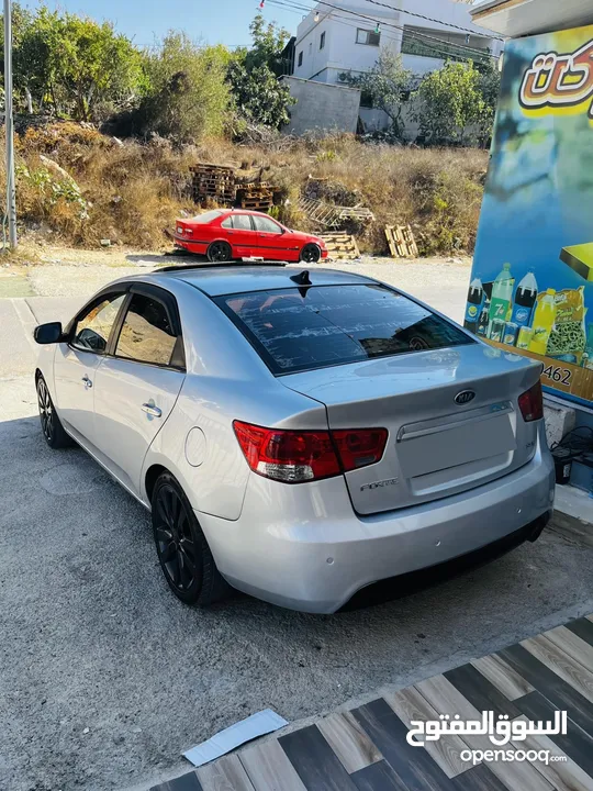 فورتي نخب فل الفل
