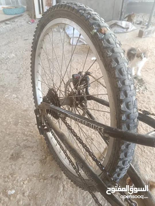 بسكليت جنط 24