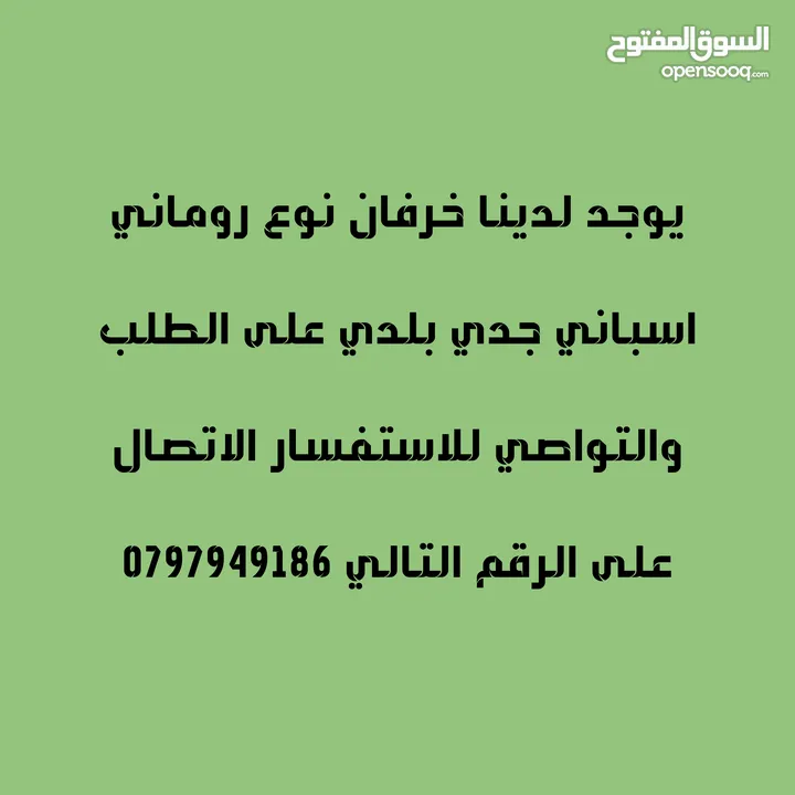 لحام جزار لذبح وبيع   عقائق نذور فدو ولجميع المناسبات الاجتماعية  في البيت عندك أو في الملحمة عندي
