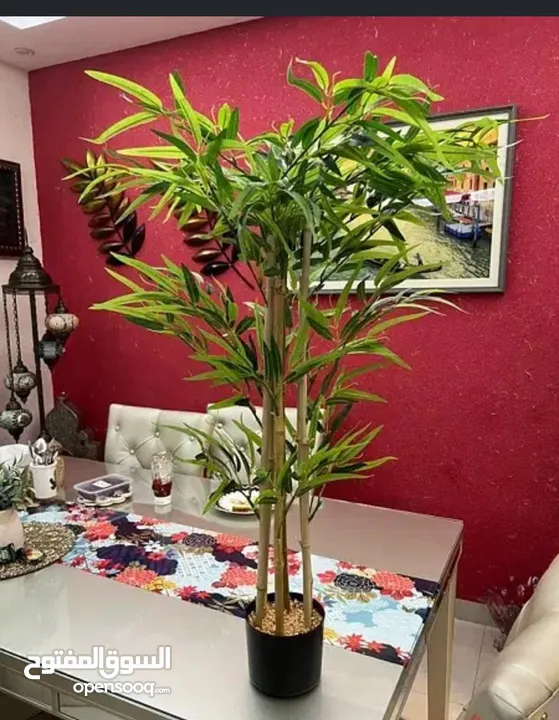 IKEA bamboo plant