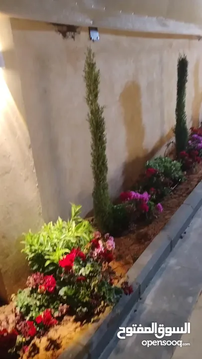 مزرعه للايجار جديده قريبه من عمان مريحه واستثنائيه