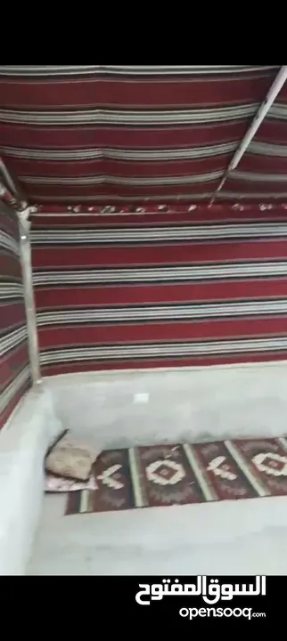 خيمه كتان سعودي نظام خليجي