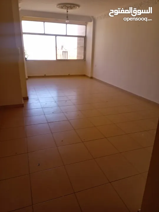 شقة فارغة - الجاردنز - 3نوم - 135م