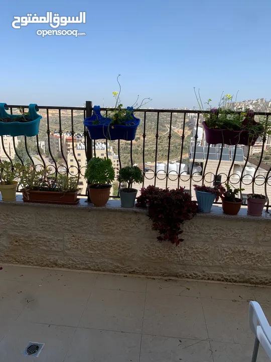 شقة مفروشة بمنطقة مميزة في حي الطيرة