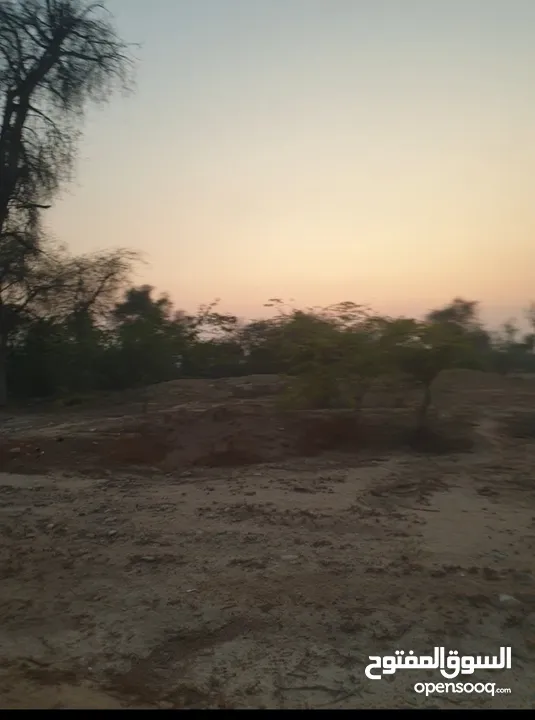 مزرعة للبيع بموقع مميز قريب للخدمات والسعر مناسب