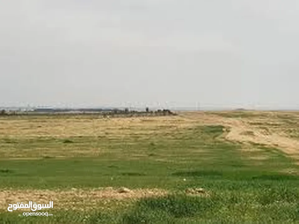 قطع اراضي للبيع من المالك الزرقاء رجم الجدعان قاع خنا خرزة القاع مديرية اراضي الزرقاء