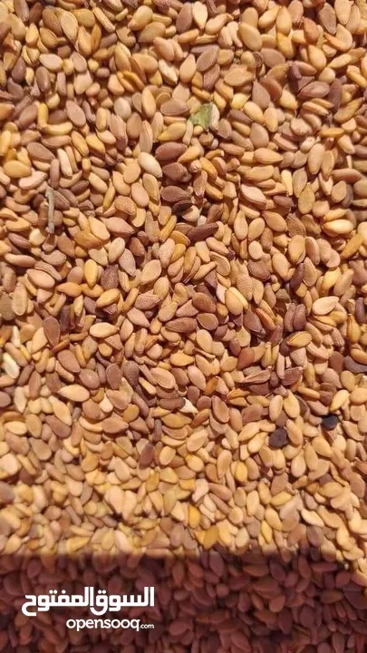 جميع انواع الزعتر البلدي والسماق والسمسم البلدي