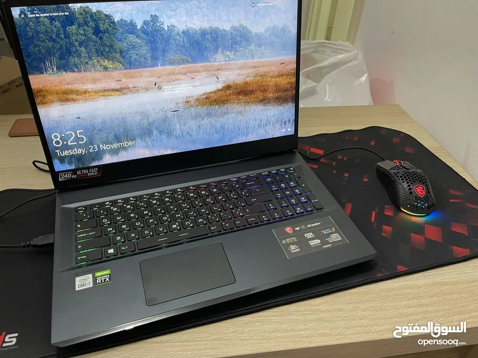 MSI GE76 Raider 10UG Gaming Laptop