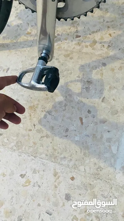 بسكليت فل كاربن
