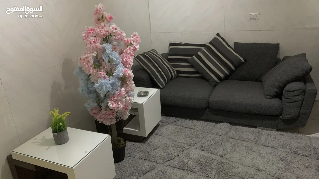 استديو مفروشه ايجار يومي الدوار السابع (خدمتكم 24ساعة)