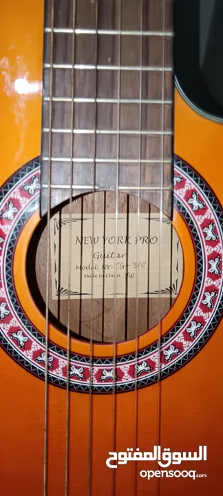 New York pro guitar