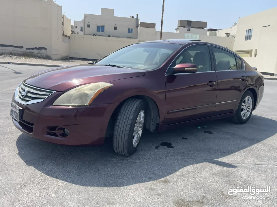 التيما فل ابشن