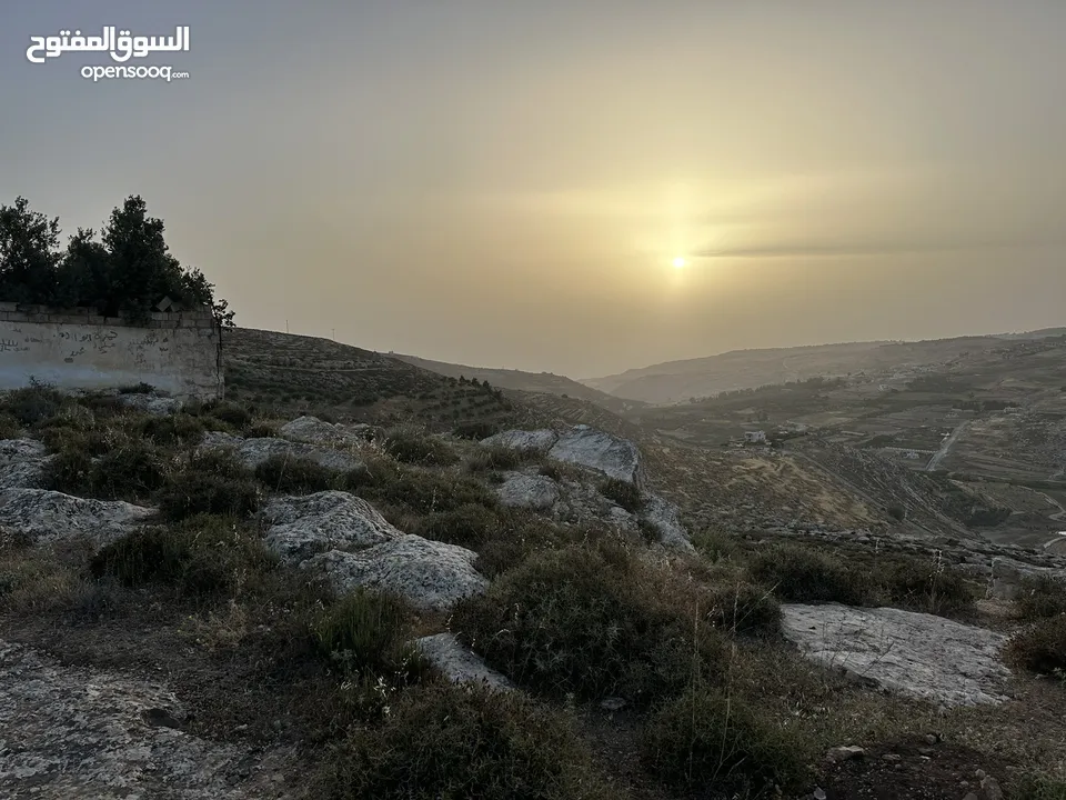 ارض للبيع قرمية حسبان 3100 متر لكامل القطعة قابل للأقساط